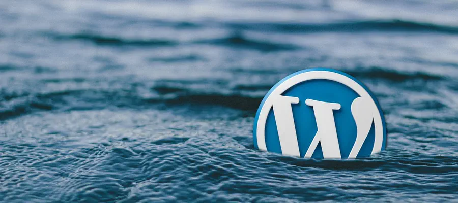 Das Wordpress Logo versinkt symbolisch im Wasser